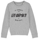 2-JE-CONNAIS-TOUS-LES-CHEMINS-(SWEAT-KIDS-HEATHER-GREY)